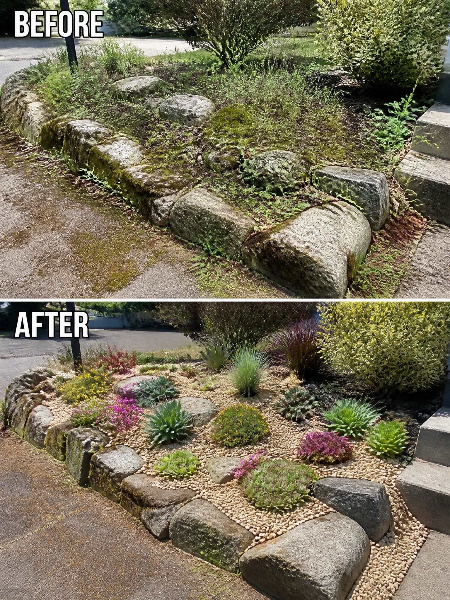Before-and-after garden bed: overgrown weeds to colorful succulents, flowers, and pebble mulch.