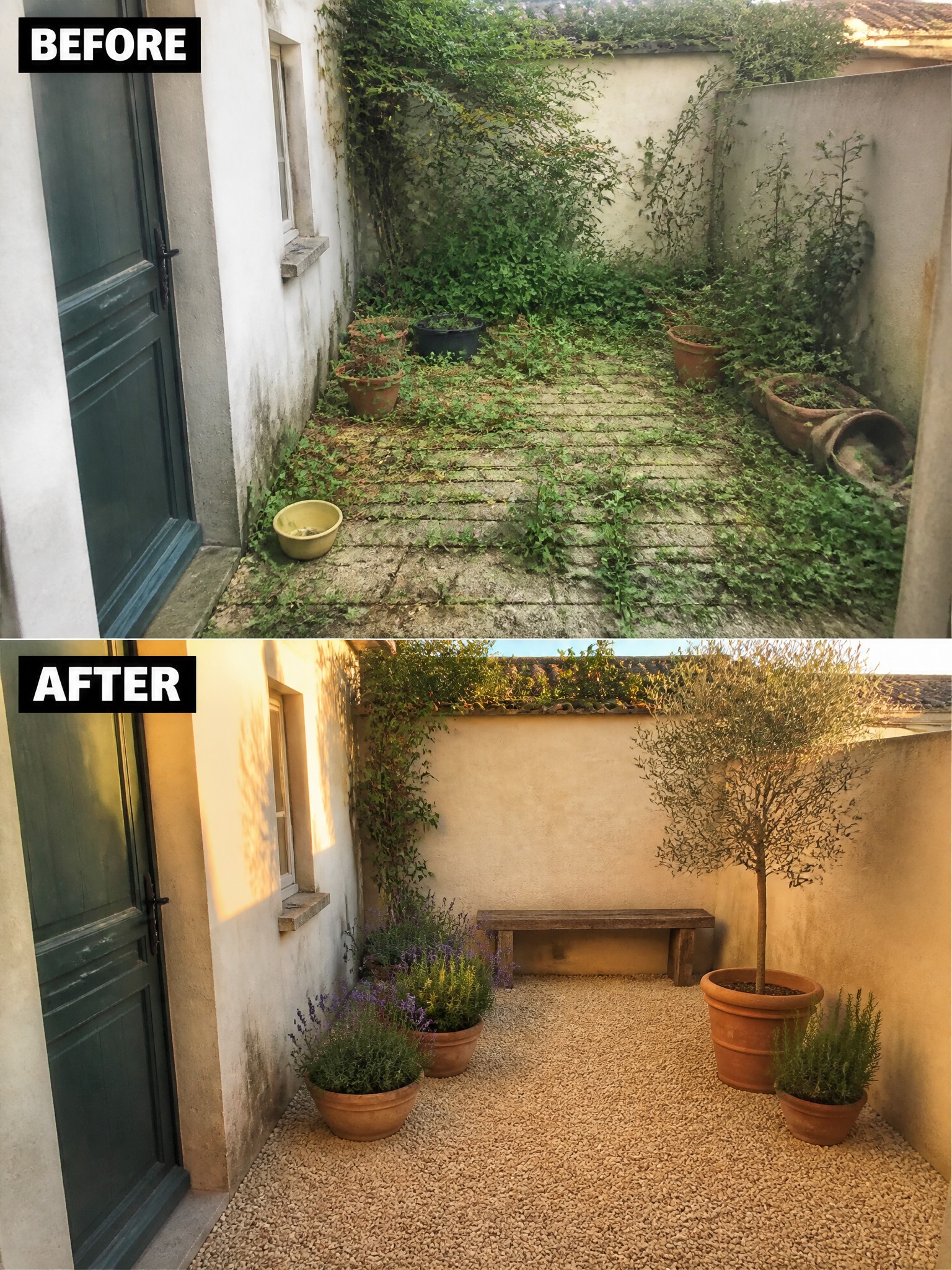 Before-and-after image of an overgrown courtyard changed into a clean gravel space with potted plants, a bench, and an olive tree.