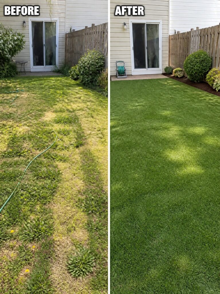 Before-and-after image of an overgrown backyard changed into a clean lawn with defined mulched borders and trimmed shrubs.