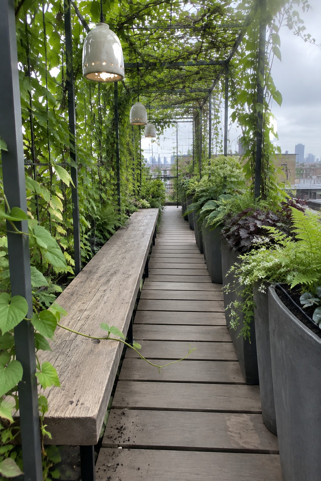 A narrow rooftop walkway bordered by potted plants and shaded by a metal trellis covered in dense green vines, with a wooden bench along one side.