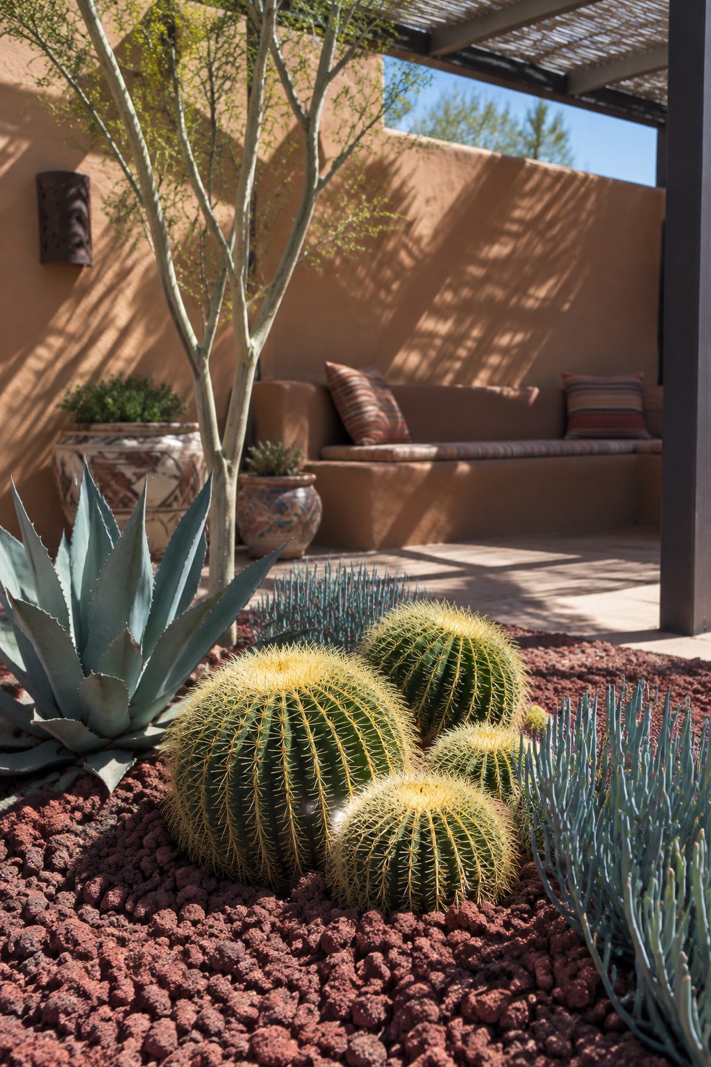Golden barrel cacti and agave in red gravel by adobe bench and tree.