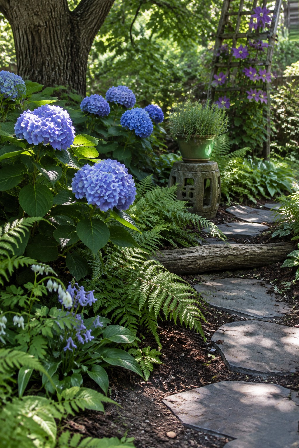 Blue hydrangeas and ferns grow beside a stone garden path beneath a large tree.