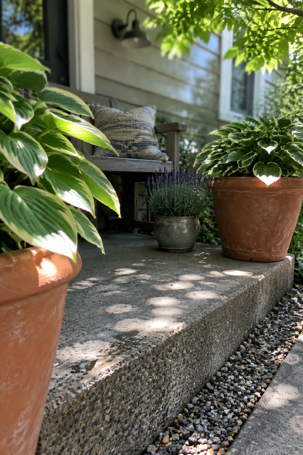 Hostas in terracotta pots sit on a raised concrete entry landing beside a wooden bench and gravel path.