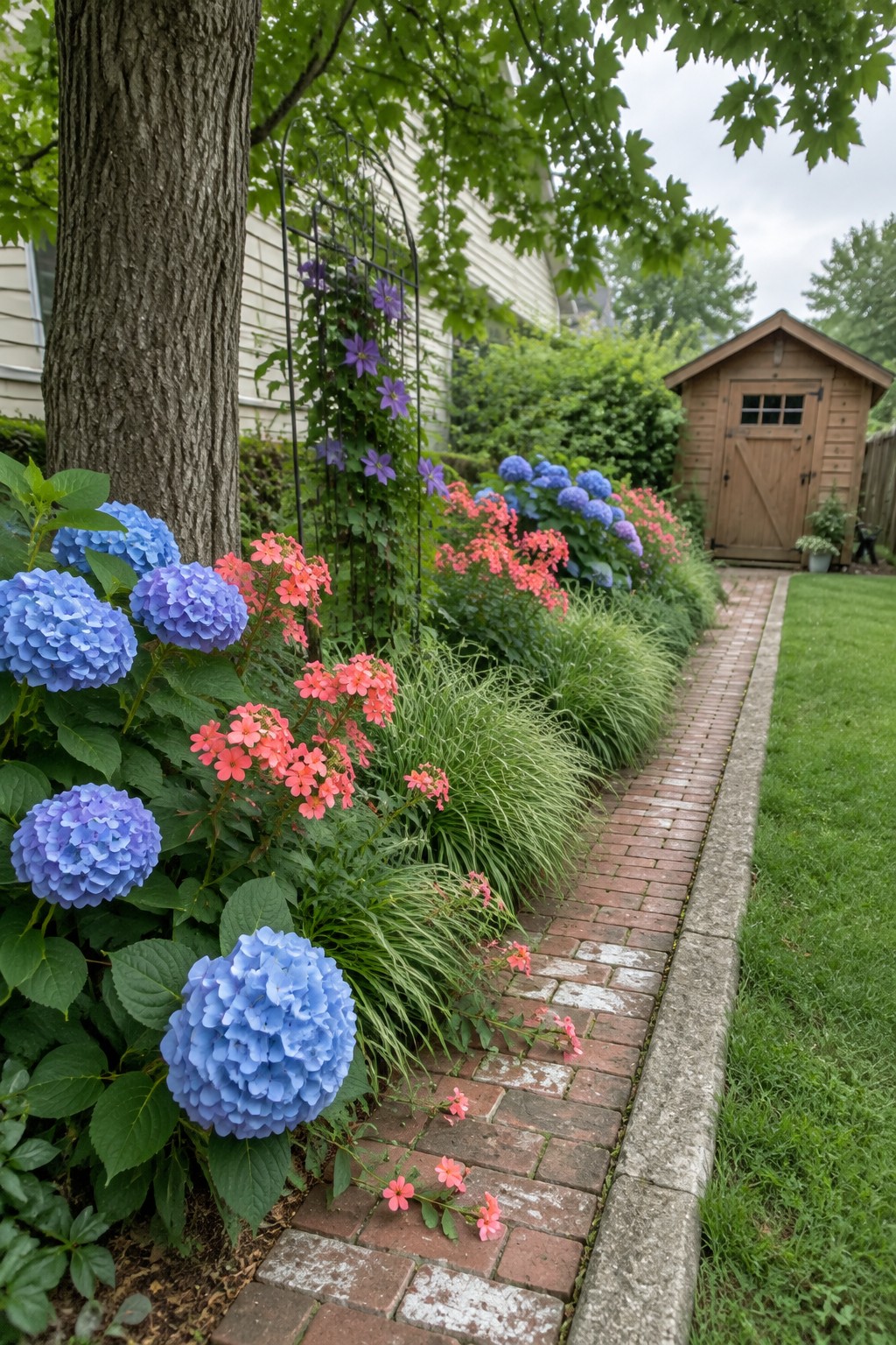 Blue hydrangeas and pink flowers grow beside a brick path leading to a wooden garden shed.