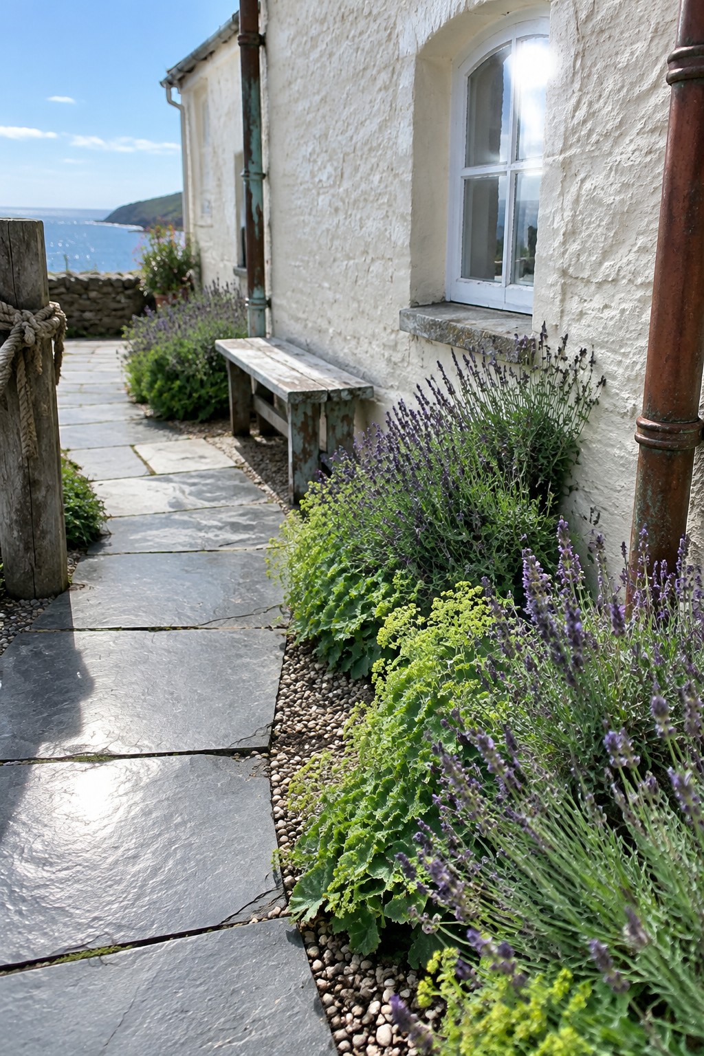A stone path beside a white house is edged with lavender and low green plants.