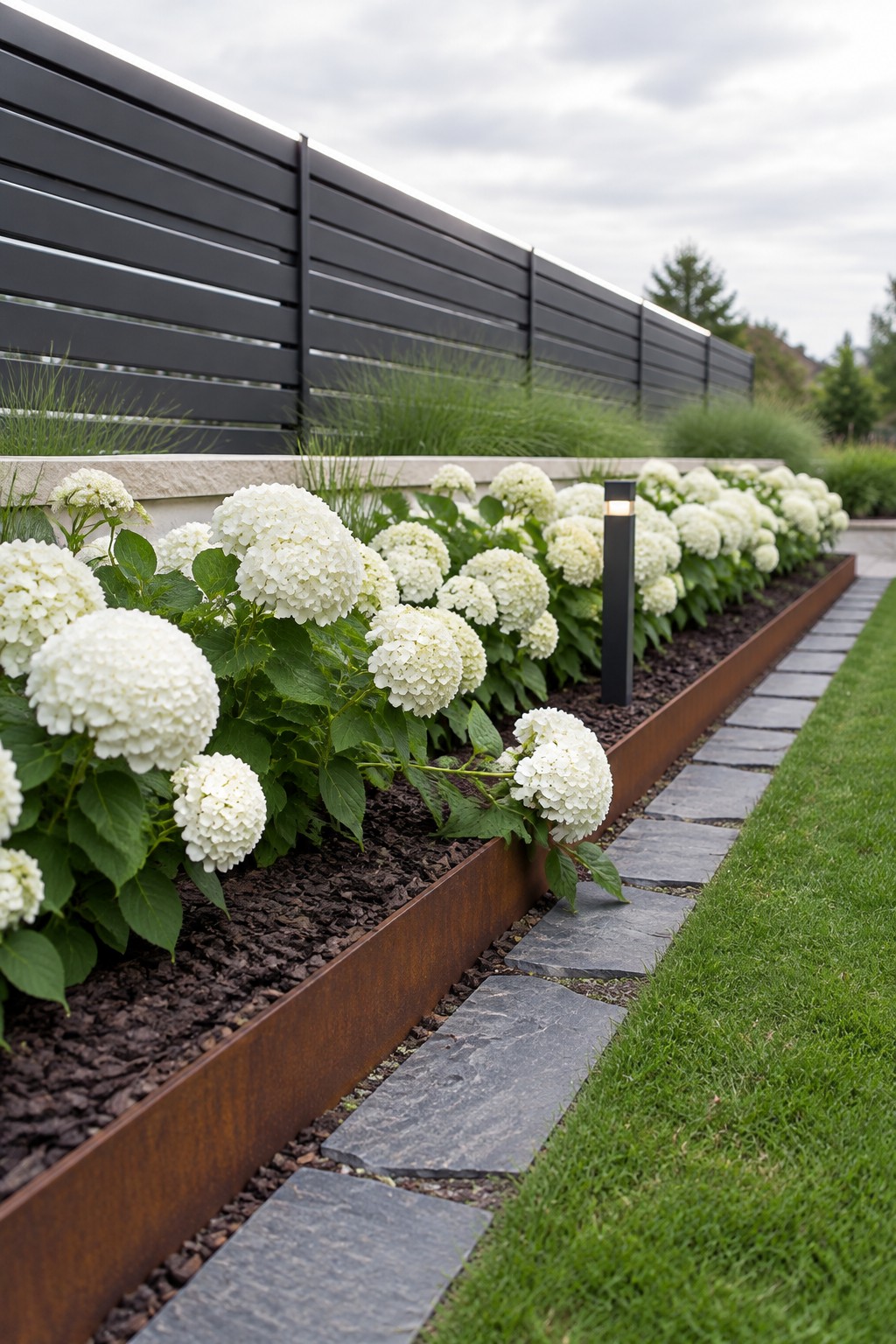 White hydrangeas grow in a raised garden bed along a dark horizontal fence, beside a stone path and lawn.
