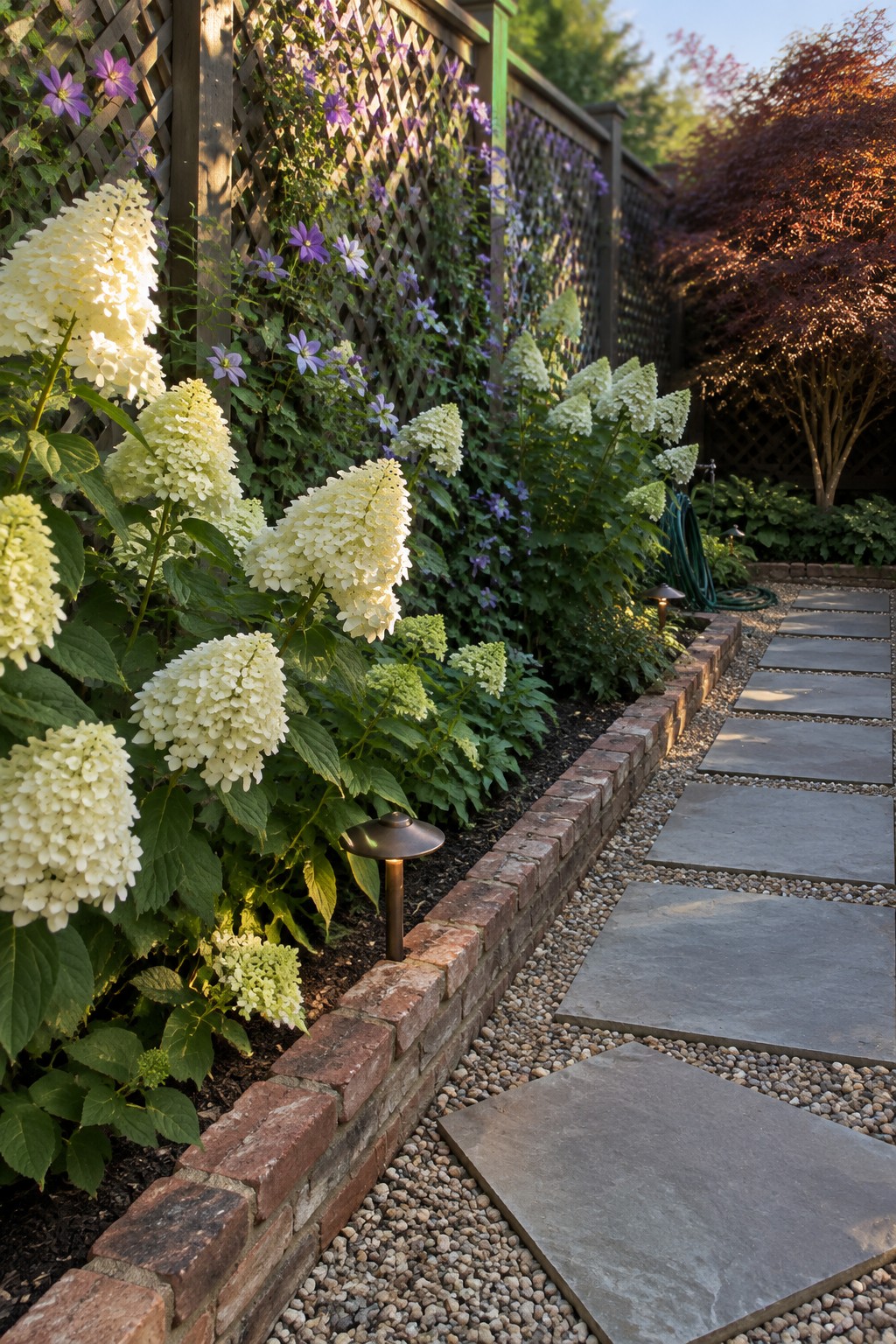 White hydrangeas and purple clematis grow beside a wooden lattice fence, with a brick-edged garden bed and stepping stones set in gravel.