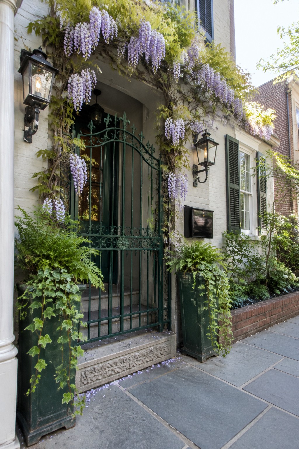A dark green iron gate at a white brick entrance is surrounded by climbing wisteria with pale purple flowers.