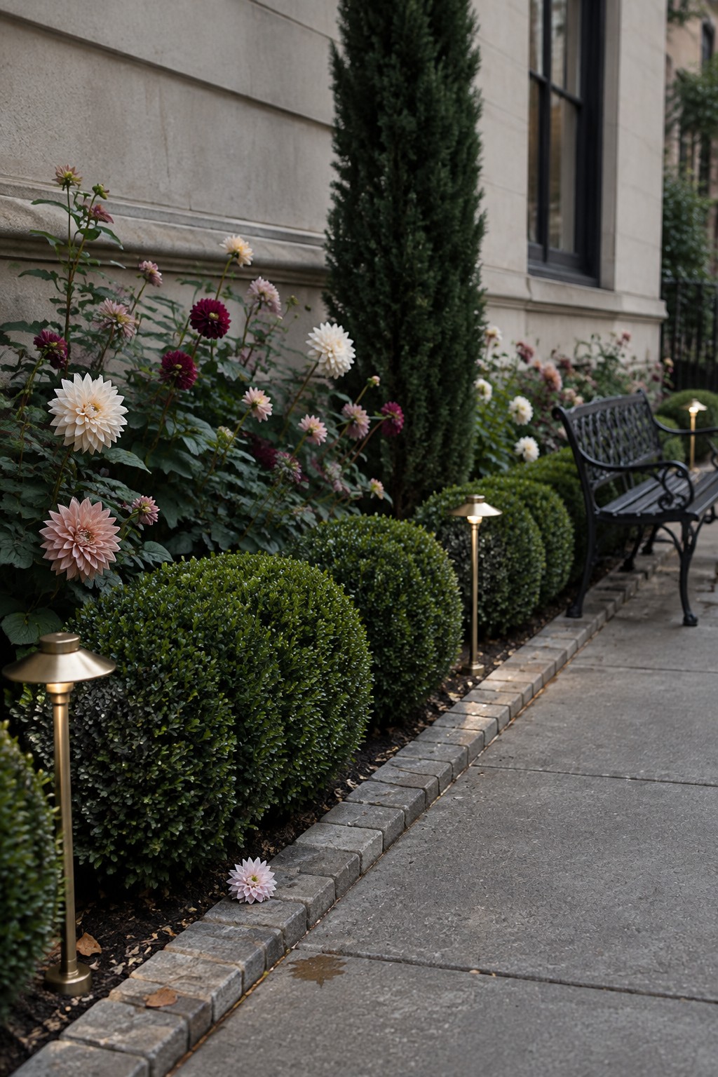 Dahlias and rounded clipped shrubs fill a narrow garden bed beside a stone building and paved walkway.