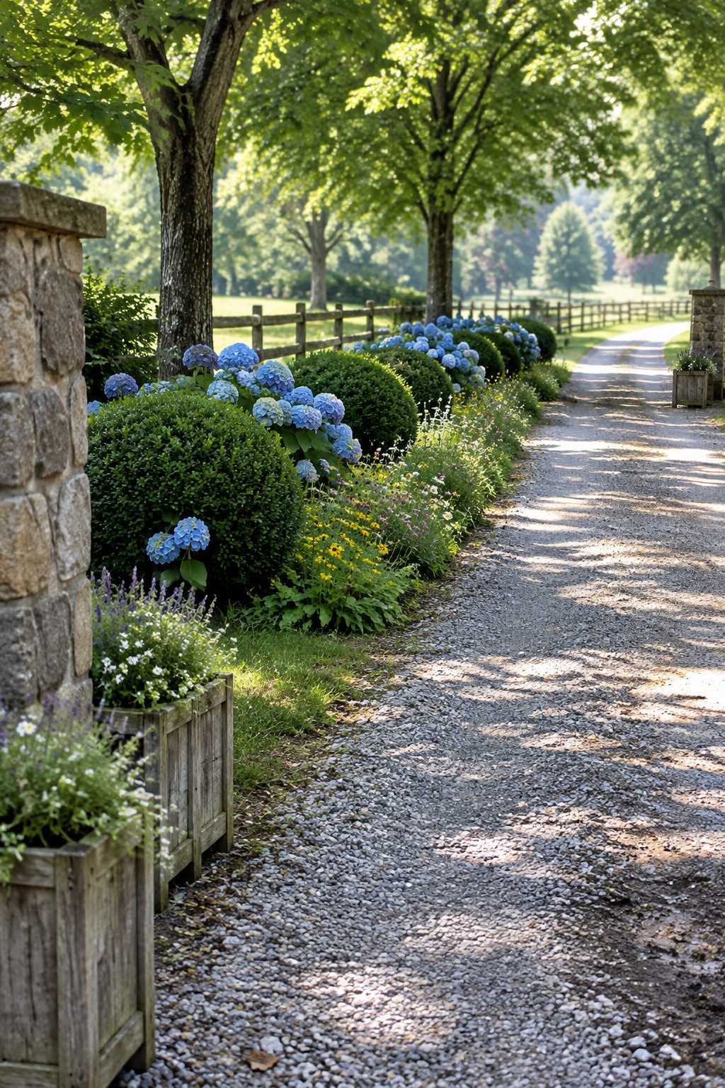 A gravel path curves beside rounded boxwood shrubs and blue hydrangeas, with a wooden fence and stone gateposts nearby.