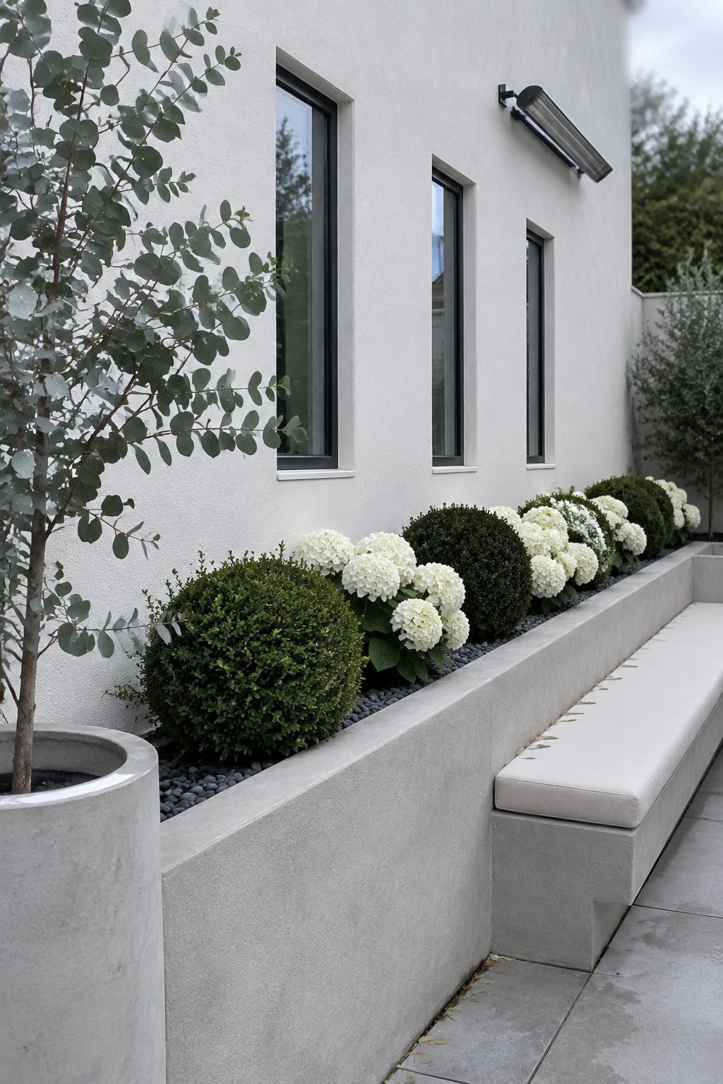 A long raised bed of white hydrangeas and round shrubs runs beside a modern house, with a paved walkway and built-in bench.