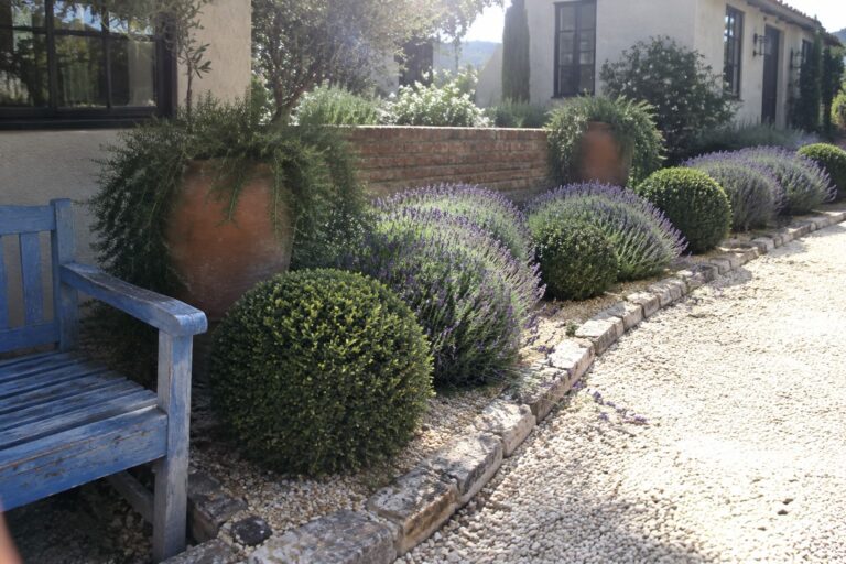 Lavender and clipped shrubs grow in a raised bed edged with irregular stones beside a gravel path.