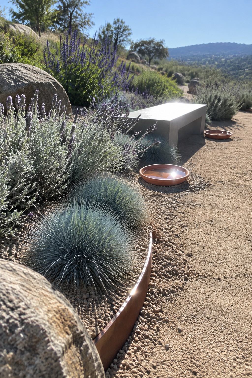 A curved metal edge borders a gravel garden bed with lavender and rounded ornamental grasses beside a concrete bench.