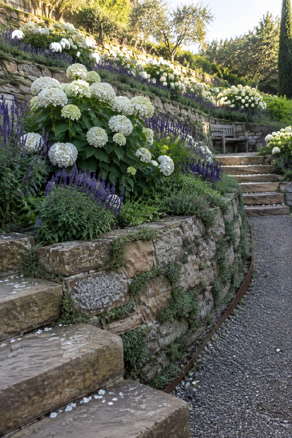 White hydrangeas and purple flowers grow in terraced stone beds beside a set of stone steps and a gravel path.