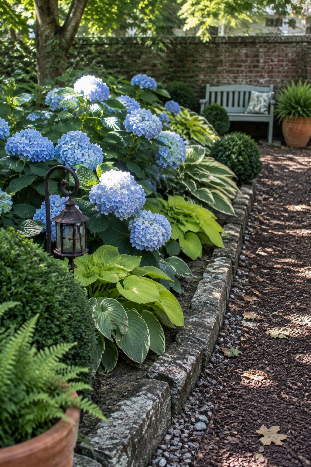 Blue hydrangeas and leafy hostas grow behind a low stone border beside a mulch path in a shaded garden.