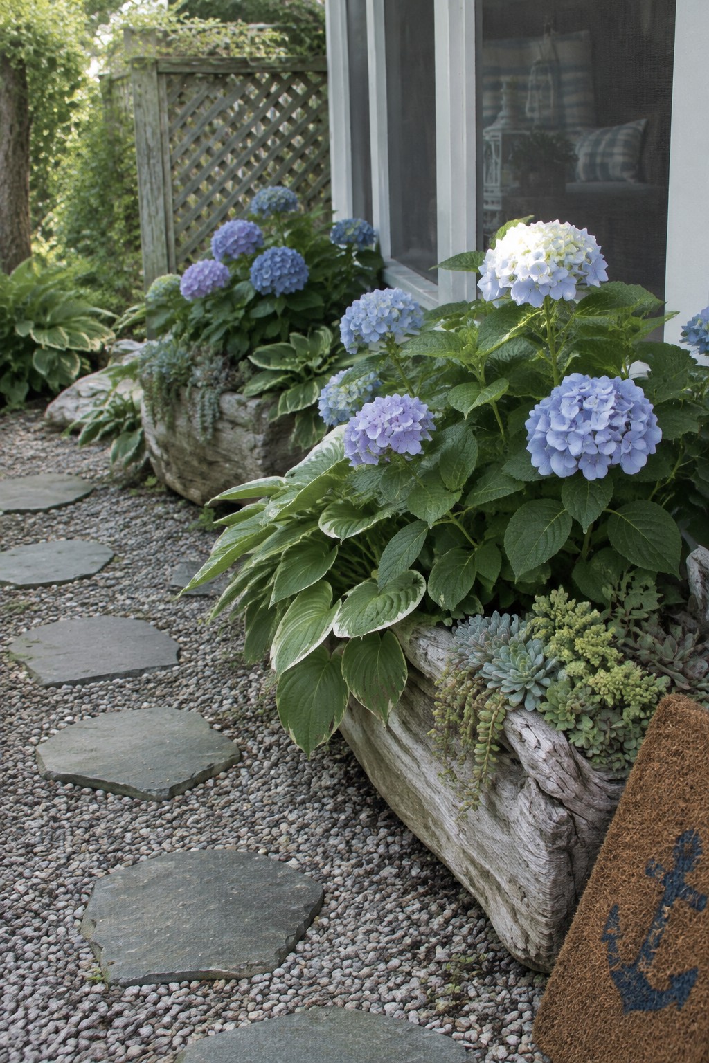 Blue and lavender hydrangeas and hostas line a gravel path with irregular stone stepping stones beside a house.