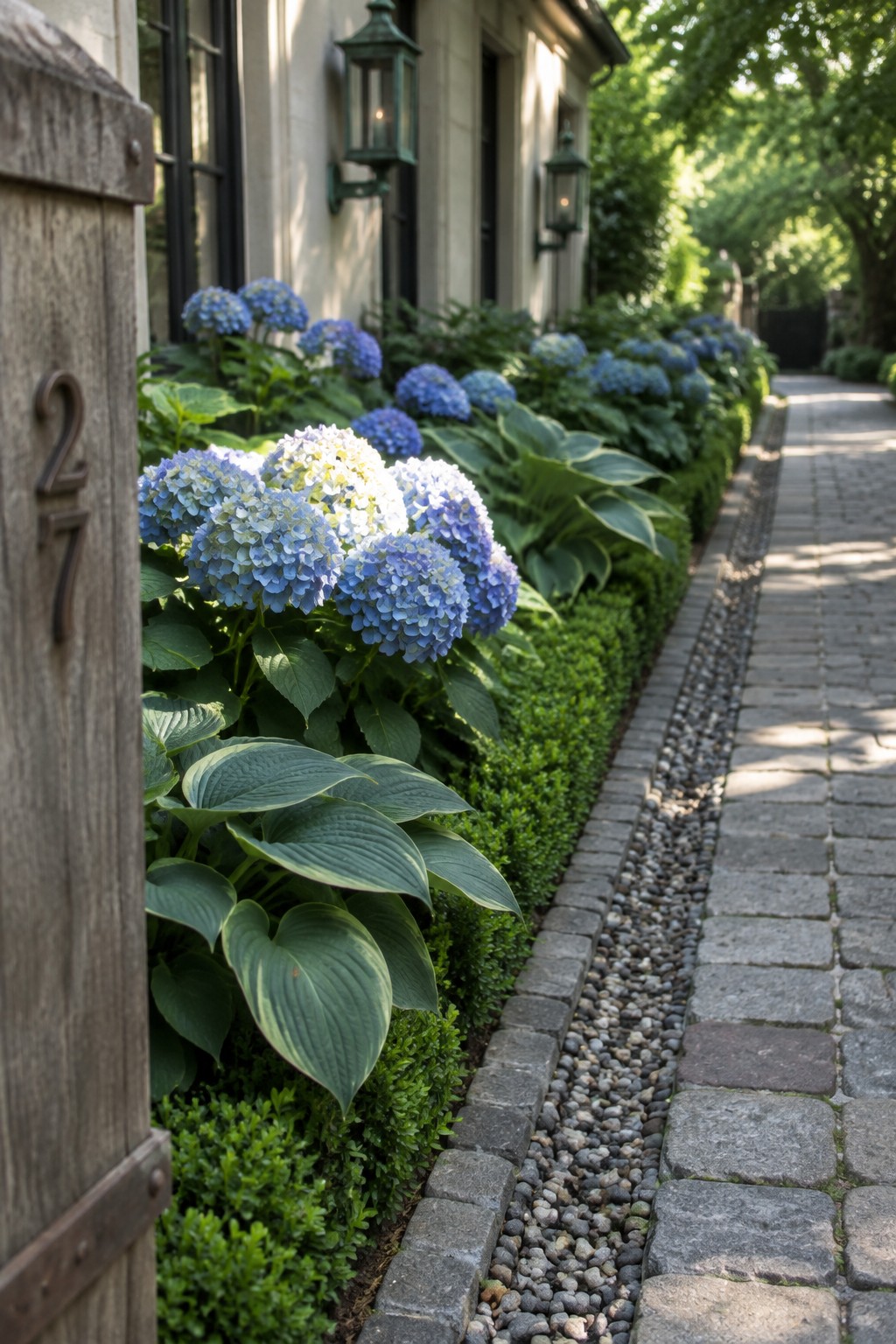 Blue hydrangeas and broad-leaf hostas border a stone walkway beside a house, with a narrow strip of small stones between the path and garden bed.